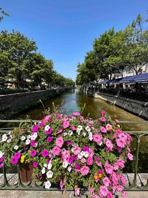 Lou Paseo : Brocante Centre Historique Appartement