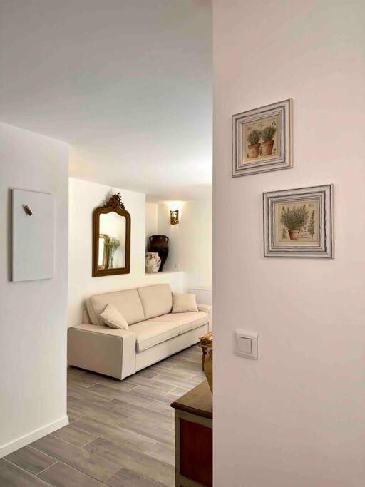 Lou Paseo : Brocante Centre Historique Apartment L'Isle-sur-la-Sorgue